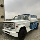 وايت جمس 84