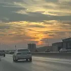 مطلوب كلب لحراسة المواشي نظيف معقم للتبني