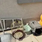 اقفاص