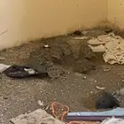 غطاط