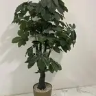 شجر   صناعي زينة
