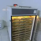 فقاسه أخت الجديده