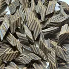 عود تايقر كمبودي