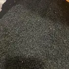 بذور بصل أحمر يمني حضرمي بافطيم درجة 1