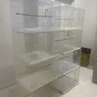 اقفاص قفص 601