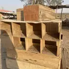 صنديق عشش حمام وغيرها