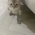 الرياض حي النظيم