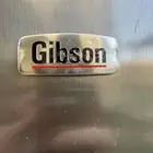 فريزر جيبسون واقف امريكي