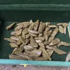 عود محسن فاخر