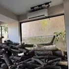 حطب اشجار جذوع حطب قرض افريقي مستورد