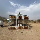 شبكه حمام للبيع حمام مكي