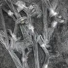 علاقات ملابس