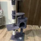 بيت قطط جديد