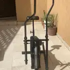 غزال طائر
