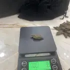 عود تايقر قطع كبيرة و عود مروكو محسن قطع صغيرة