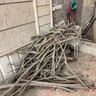 حطب محل ي مستخرج من شجرة الجهنمية