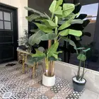 شجره زينه حجم كبير حد 170 السعي على المشتري