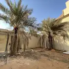نخلات للبيع لاعلا سومه