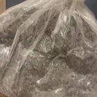 بذور قرض أفريقي