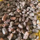 تمر خضري للبيع