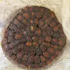 برني وكعيمر