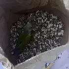 فرخ كنيور هدد
