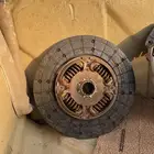 صحون ودزق شاص مديل 2013