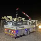 دناء هدروليك لتحميل الابل وغيرها داخل الحناكيه وخارجها