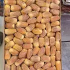 لجميع انواع التمور