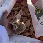 علف عجين من اجود انواع العلف وانظفها