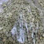 بن اخضر كولمبي ( قهوة مختصه )