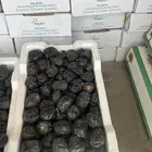 تمور تمر عجوه المدينه