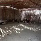 يوجد دجاج بلدي للبيع صحة ممتازه مايعاني من شي الحمدالله