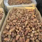 تمر صقعي حبة كبير