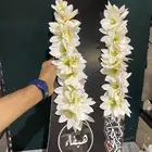 عقود التخرج