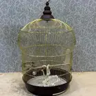 قفص شبك نظيف