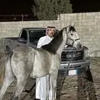 مهر شعبي