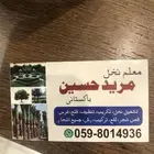 معلم نخل