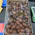 تمر جلكسي