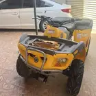 الشفا حي المزيني