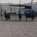 معزا مضاريع لها 3 شهور ومعها فحلين عوارض ومشروكه