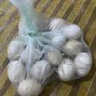 بيض بلدي