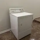 نشافة امريكي كبير