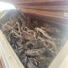 دفي لبيع ار ط