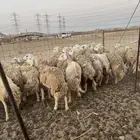 مكه المكرمه عمق