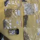 بذور موسميه للورود والاشجار