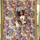 عازفات وفقرات