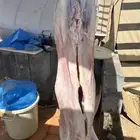 نوفر طليان ويوجد لدينا خدمه ذبح الموقع كبري ضعه خلف هواي