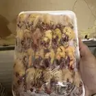 دخل وصفار محلي جديد