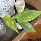 بوتس على 5 و 8 ريال